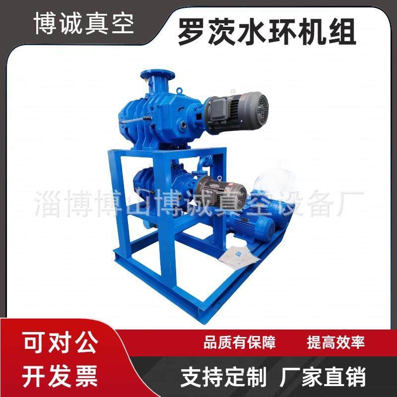 淄博ZJP150罗茨水环真空机组、2BV5131真空泵