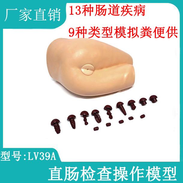 直肠检查操作模型高级直肠指诊检查模型_肛诊模型直肠诊断模型