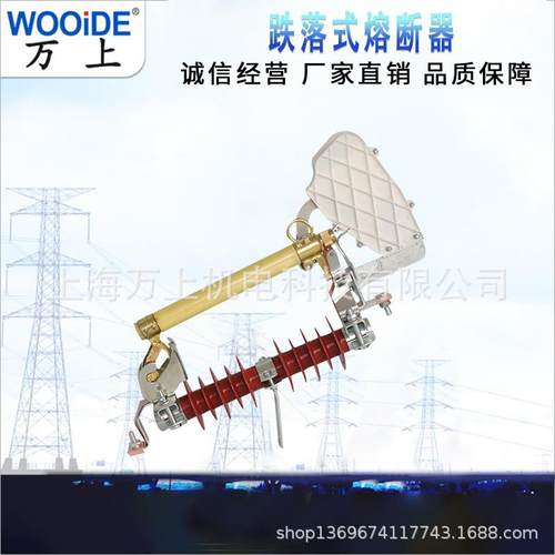 10kv高压跌落式熔断器户外RW11-12/200A保险熔丝令克开关NCX