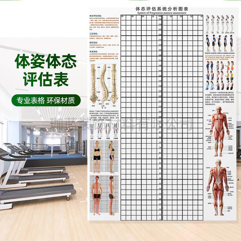 体态评估图墙贴健身房体测表瑜伽馆私教身体姿势网格纸体位体姿图