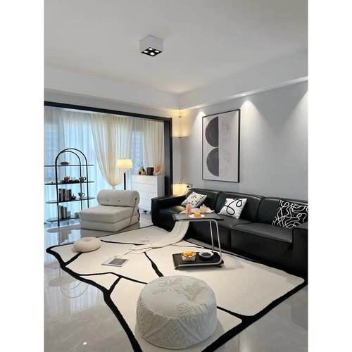 客厅地毯卧室床边毯高级轻奢沙发茶几毯简约家用高级免洗可擦地垫