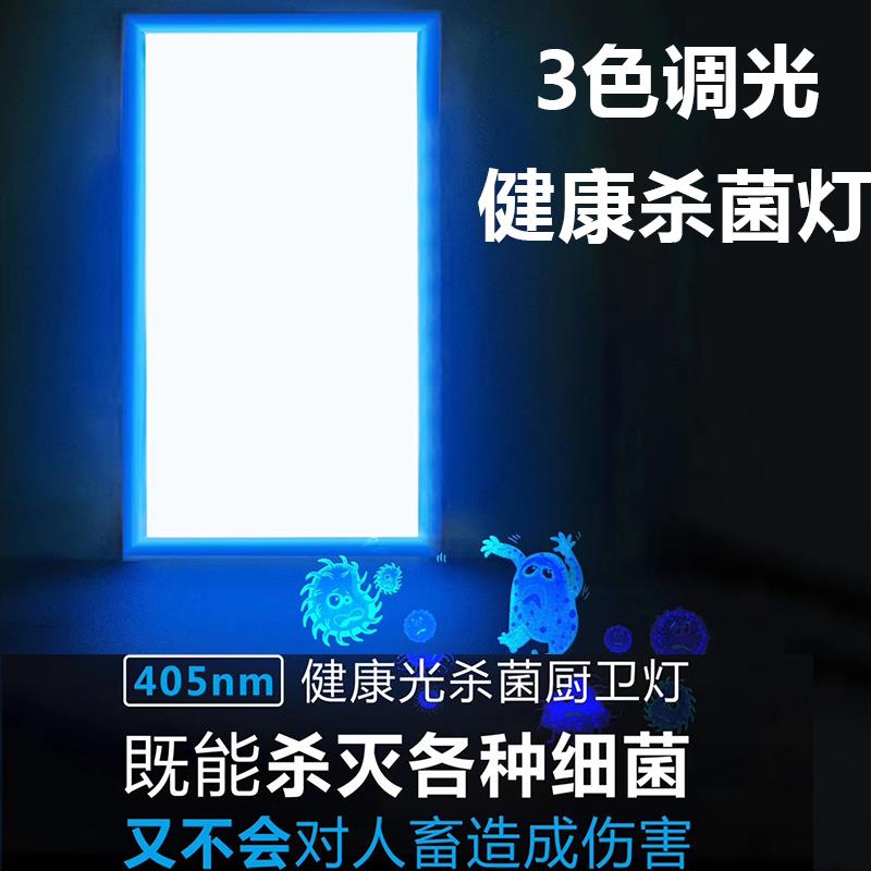 紫外线 线消毒灯UVA杀菌除螨家用吸顶式厨房化妆室集成吊顶灯杀菌
