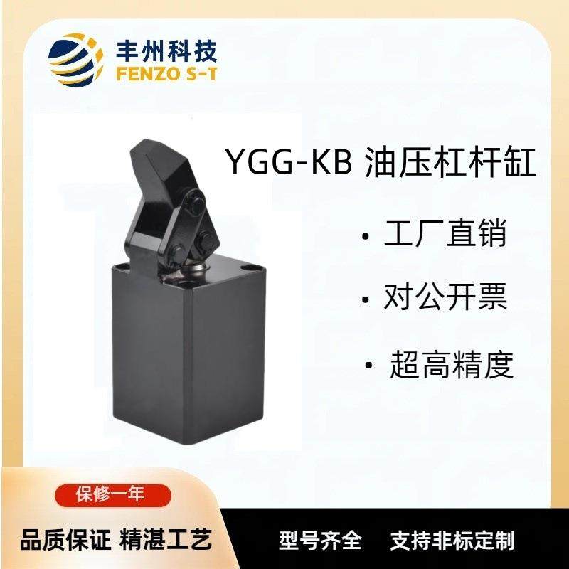 液压方型板式连杆夹紧器YGG-KB型号小型油压转角缸块状板式杠杆缸,标准件/零部件/工业耗材,液压缸,淘宝优惠券,粉丝福利购,淘宝优惠卷