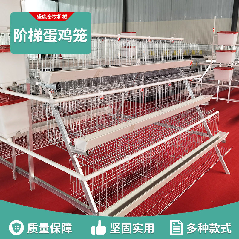 养殖场蛋鸡笼子家用养鸡三层双边4门5门阶梯式镀锌铁丝笼鸡笼子