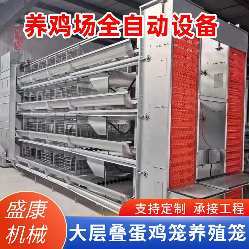蛋鸡笼全自动捡蛋机一体化养鸡设备机械蛋鸡笼养殖鸡舍鸡场养殖笼