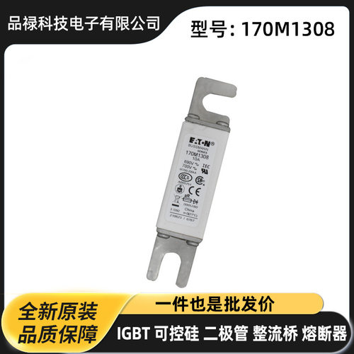 FWJ-35A FWJ-40A FWJ-50A FWJ-60A原装快速熔断器 熔芯