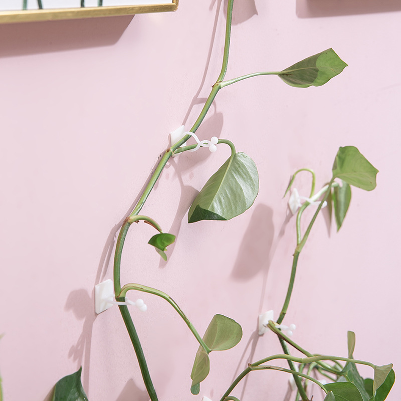 现货速发绿萝爬墙神器绿箩固定爬上固定夹攀爬挂钩绿罗扣环绿植固