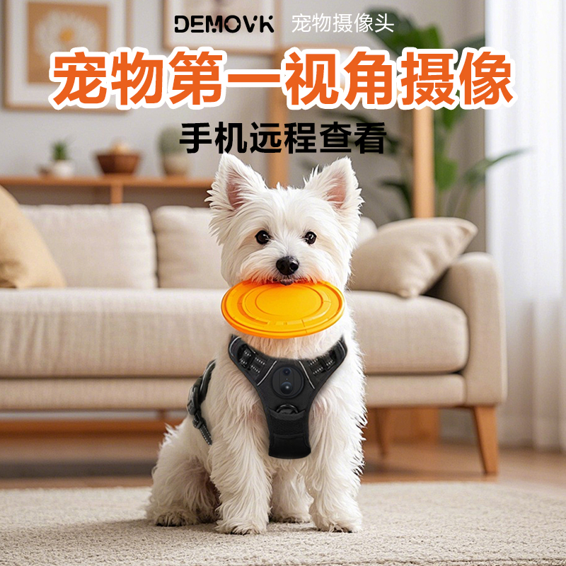 狗狗防丢定位器带摄像头猫咪防丢走失手机远程查看追踪宠物项圈器