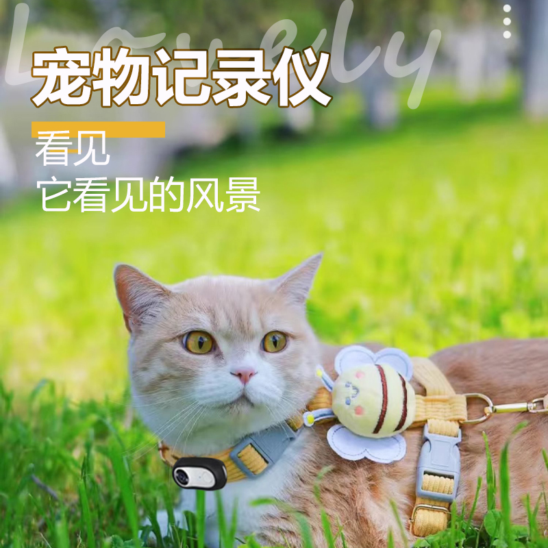 猫定位器带摄像头防走失项圈gps猫用探测器防丢追踪录音宠物订位