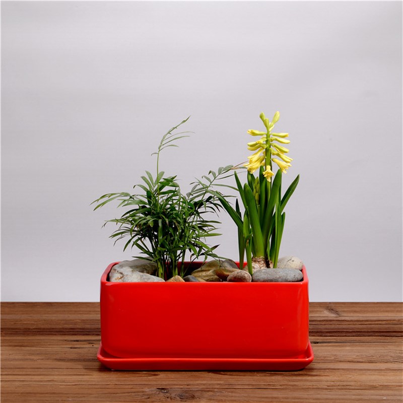 一个包邮大号长方k形30厘米带底盘底托花盆阳台种菜盆白色红色黑