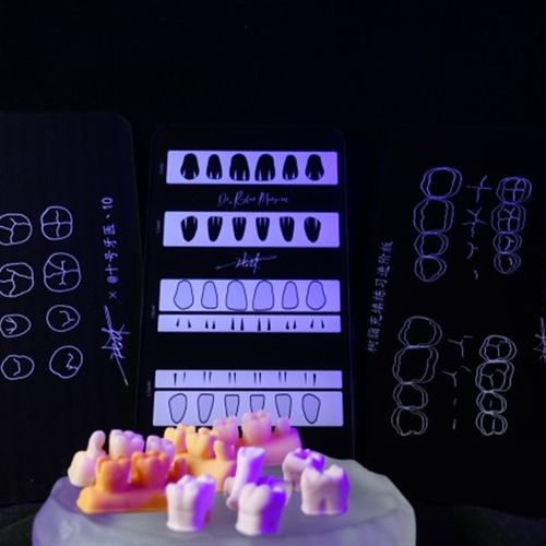 牙医树脂堆塑j练习合集 练习板 树脂牙模型