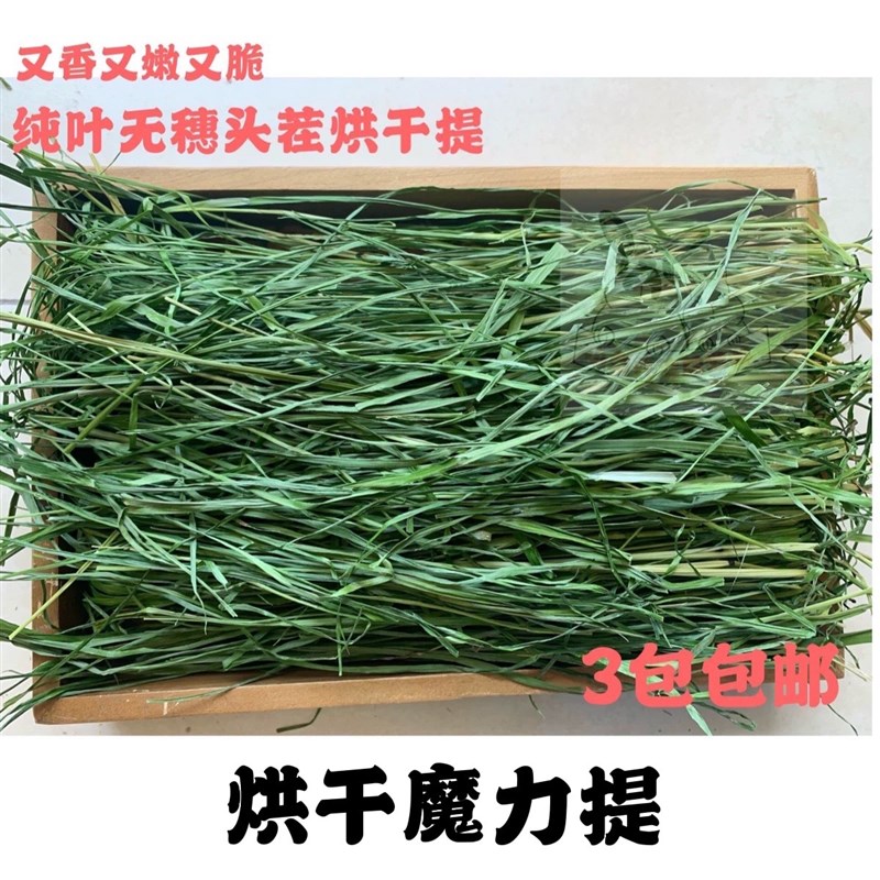 2022年魔力烘干提摩西草干草兔粮烘干北提牧草兔子龙猫豚鼠荷兰猪