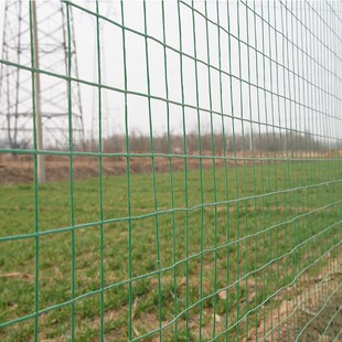 高档格网绿色硬铁丝超网密铁网子围栏拦鸡网N养殖网窗户护防网奢