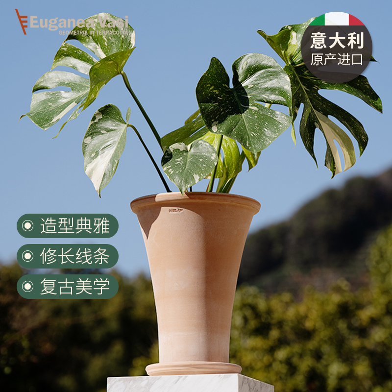 EV陶盆进口透气透水简约