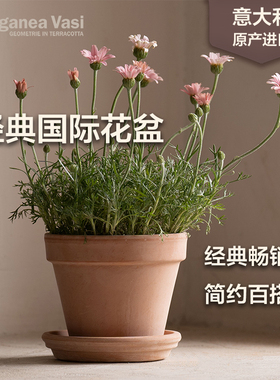 EV陶盆进口经典国际盆意大利天然陶土透水透气花盆家用大口径花盆