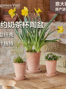 EV陶盆奶茶杯系列意大利进口简约透气加深高陶土绿植蝴蝶兰高花盆