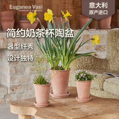 EV陶盆奶茶杯系列意大利进口简约透气加深高陶土绿植蝴蝶兰高花盆