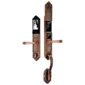 防水防冻防晒户外对开大门欧式 智能锁老木门 别墅指纹家用指纹密码