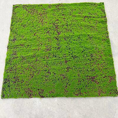 人造苔藓草皮青苔藓室内景观苔藓草皮场景橱窗造景微景观假草坪