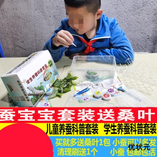 养蚕全套蚕宝宝套装学生孵化盒养育仓盒大籽专用工具蚕卵幼虫新鲜
