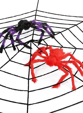 Halloween Spiders Web SpiderWeb Cobweb Halloween bar haunt