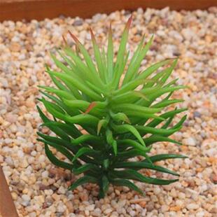 12 Pieces Artificial Succulent Plant DIY Decoration Plastic