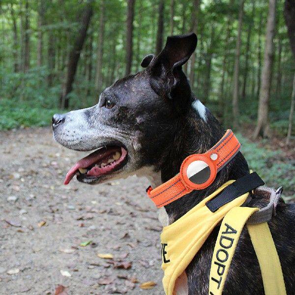 Dog Collar Reflective Adjustable Pet Collar with for Apple