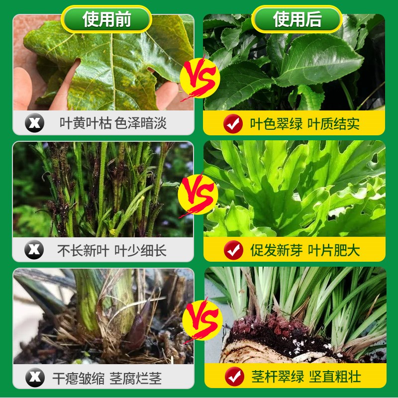 发酵芝麻饼肥有机肥豆饼菜仔腐熟种菜花卉绿植盆栽通用型颗粒肥料