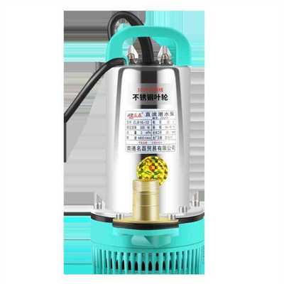 12V水泵24V48V60V直流潜水泵充电电动电瓶车抽水机小型抽水泵12V1