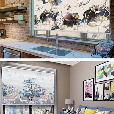 Stand-DZown shutter public curtain hand-pull shading sunsha