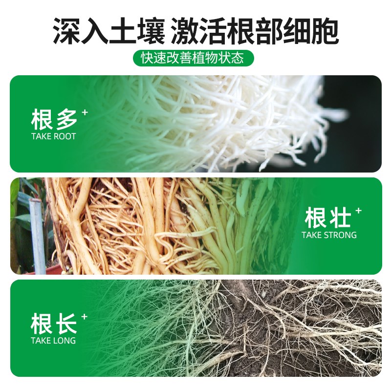 生根粉多灵菌树木扦插农用果树专用蔬菜植物种植盆栽通用快速粉剂