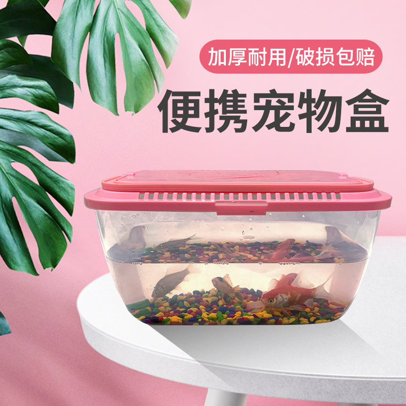 鱼缸手提带盖金鱼桌面爬虫养龟盒透明小型宠物饲养运输盒小乌龟缸
