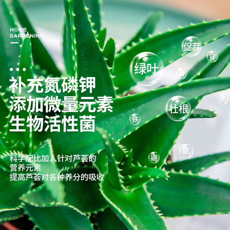 芦荟营养液肥料专用肥防烂根急救黄叶有机液体肥家庭园艺盆栽通用
