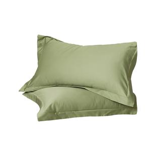 绿色高S高密度100S长绒棉单品枕套枕头套48x74cm一对高级感酒店