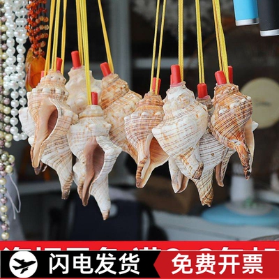 极速海螺号角可吹小螺号海螺口哨大海螺壳特大海螺哨子超大可吹响