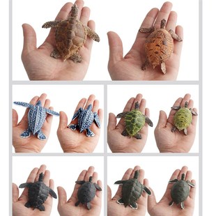 Simulation Animal Whale Sea Turt Shark Life Sets Ocean Model