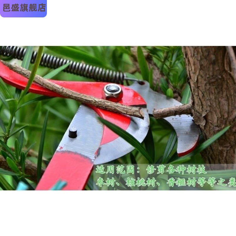 极速杆摘槐米工具槐花伸缩修剪刀香椿枝带加长高枝剪高空柿子果树
