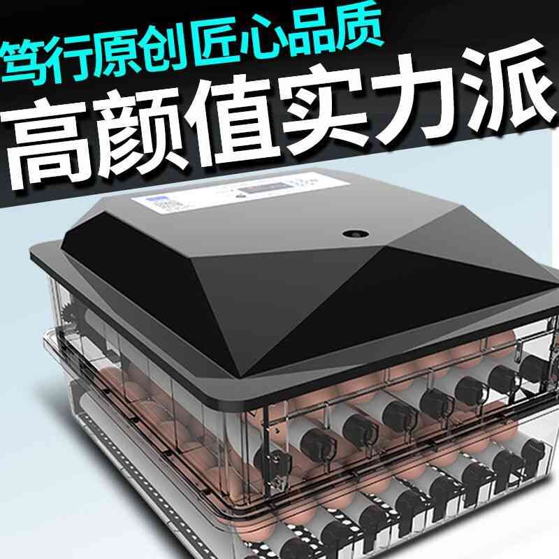 厂销销器孵化机孵蛋器家用型全自动小G型迷你水床孵化箱智能小品