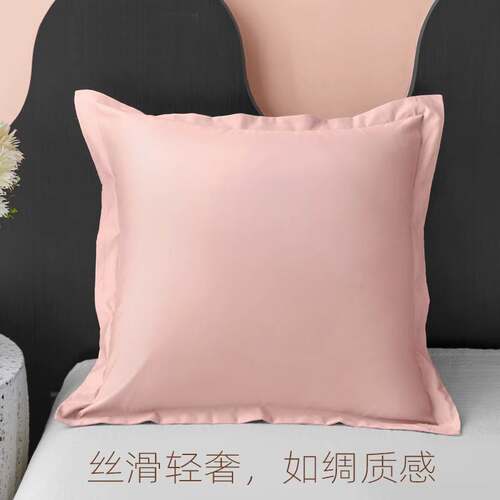 抱枕不套含芯床上靠垫套沙发靠背套60x60cm客厅靠枕套床头纯棉65
