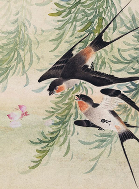 吴谔没骨花鸟册微喷打印清代工笔B花鸟画小品临摹绢布画稿彩色底