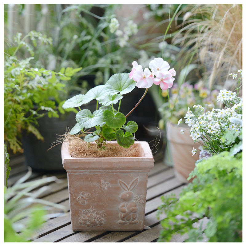 复古粗陶白兔小方盆o 透气浮雕阳台花园绿植装饰正方形红土陶花盆