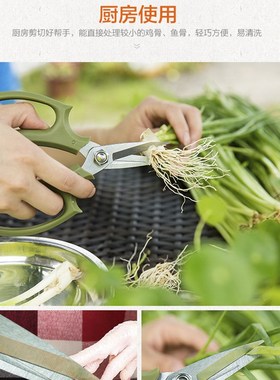 沐子哥的庭院沃施花艺剪刀园艺花剪花枝J花卉修枝剪园艺师插花鲜