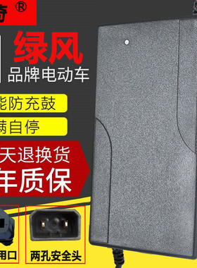 江西绿风电动车充电器48Vn60V64V72V32Ah80V84V96V20Ah两孔安全头