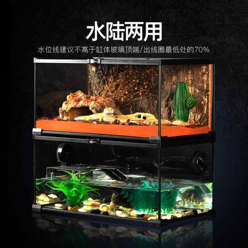Reptizoo瑞皮爬宠角蛙饲养箱蜥蜴蜘蛛乌龟守宫爬虫玻璃缸雨林缸蛇