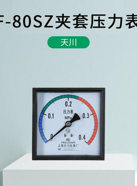夹套压力表方形表96mm灭菌炉内室夹套压力表真空表F-80SZ