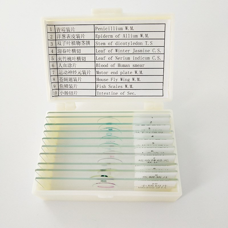 生物显微镜标本切片套装动物植物细胞配件载玻片实验儿童学生玻片