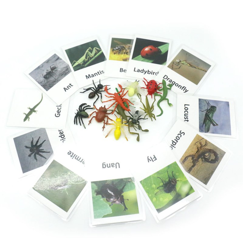 Montessori teaching aids animal model card matching recognit