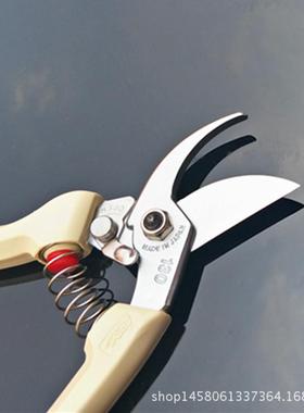 ars/dx剪剪刀修枝爱丽斯枝园林工具日本140果树爱丽丝130花园艺