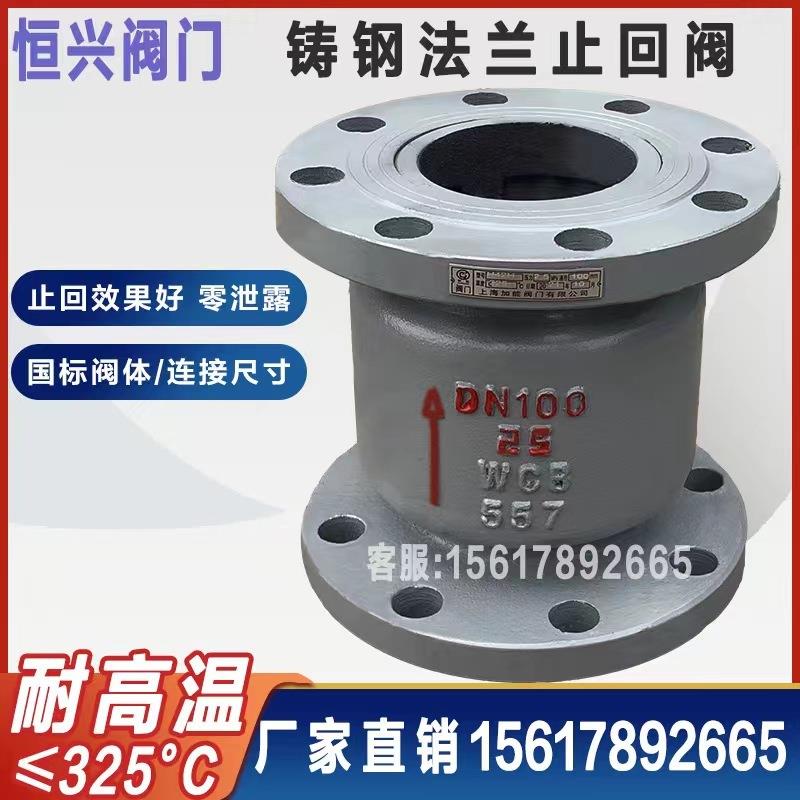 H42H铸钢法兰立式止回阀 单向逆止阀DN40 50 65 80 100 150 200