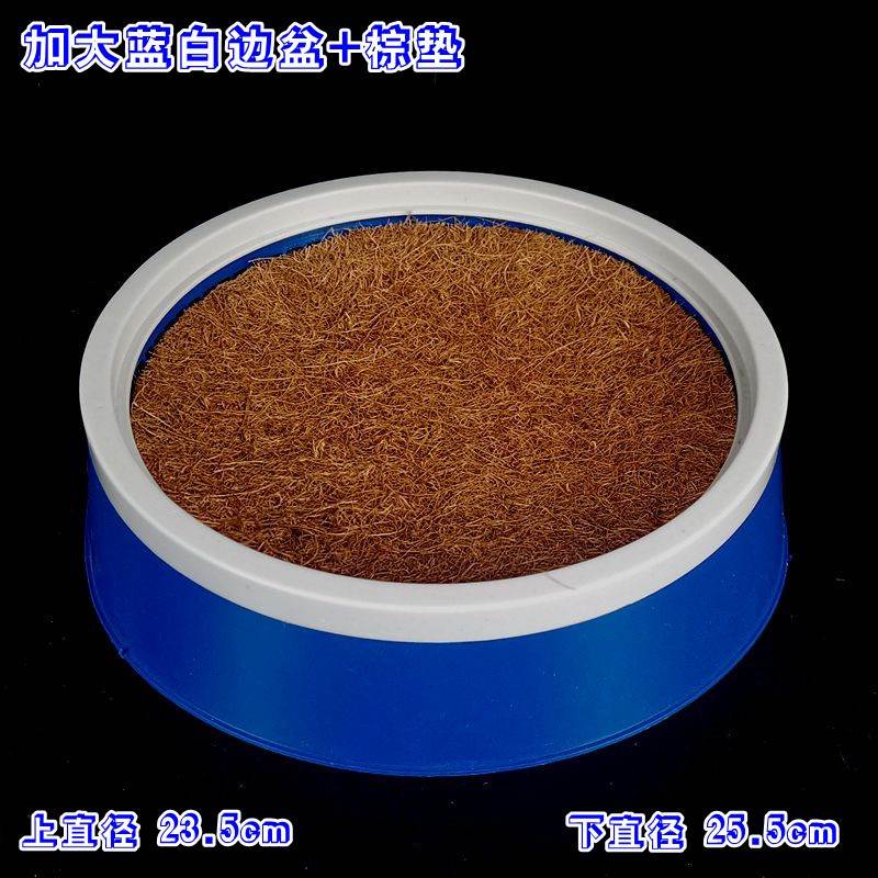 鸽子塑料窝鸽子窝加大款式信鸽塑料巢盆鸽子用具塑料鸽子用品用具